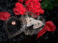 Hercules Feb '06 - 6.JPG