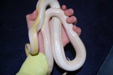 DSC_0294.JPG DSC_0294.JPG