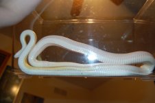 DSC_0291.JPG DSC_0291.JPG