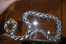 DSC_0285.JPG DSC_0285.JPG