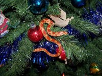 Merry Christmas 2011.jpg
