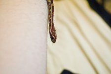 Hethiss Shedding_018.5.jpg