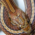 BBCS-BarbaraBushSept2011 010.jpg