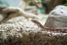 Hethiss Shedding_023.5.jpg