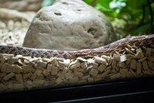 Hethiss Shedding_024.5.jpg