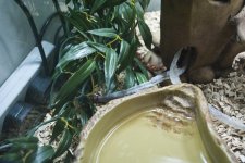 Hethiss Shedding_030.5.jpg