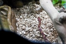 Hethiss Shedding_034.5.jpg