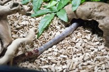 Hethiss Shedding_035.5.jpg