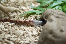 Hethiss Shedding_041.5.jpg