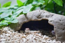 Hethiss Shedding_045.5.jpg