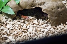 Hethiss Shedding_046.5.jpg