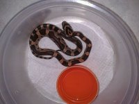 IMG_2012082335836.jpg