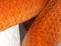 20140119-25.JPG