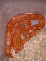 IMG_201208237697.jpg