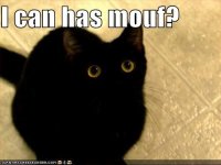 lolcats-funny-pictures-i-can-has-mouth.jpg