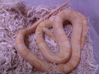 IMG_2012082337597.jpg