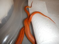 20140119-26.JPG
