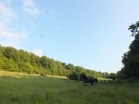 028 (500x375).jpg