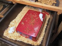 100_2870 1_3_colony.jpg