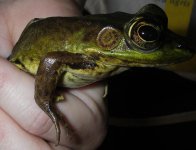 IMGP0535_edited.JPG