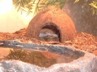 His first pic!!.jpg