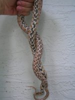 loc1-4.jpg