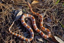 Miami Baby N with Baby O March 2013-9.jpg