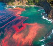 most-amazing-natural-phenomenon-red-tides.jpg