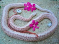 HN Baby H First Shed-6.jpg