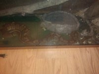 IMG_20120412_152733.jpg