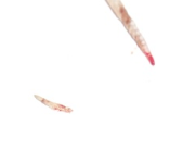 tail2.png