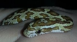 20130310_161248.jpg