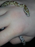 20130310_161244.jpg