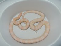 DSCN0108.JPG