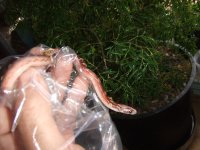 DSCF1107.JPG