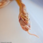 Feeding_006.jpg