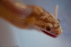 Feeding_009.jpg