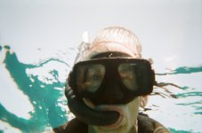 Snorkeler__1470793690_67066.jpg