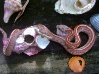 Blood Tess B Septenber.jpg