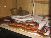 IMG_0163.JPG