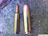 beowulf-50cal-and-m4-223cal.jpg