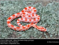 CC2014-FBSA-006F-9-12-2014.jpg