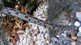 CS7-23-11 079.jpg