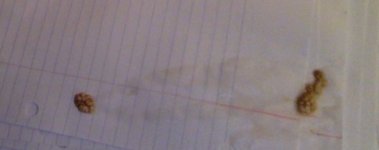 Photo on 12-16-15 at 12.52 AM #2.jpg