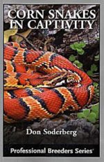 corn_snakes_in_captivity__1471585430_31017.jpg