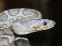 IMG_5671.JPG