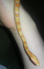 20130223_015905.jpg