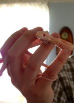 photo-5.JPG