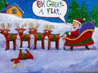 Funny-Christmas-Pictures-113.jpg
