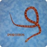 porthos1-13 (639x640).jpg